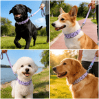 Waterproof Dog Collar with Custom Name Charms