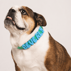 Waterproof Dog Collar with Custom Name Charms