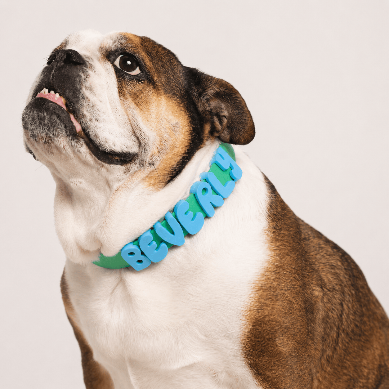Waterproof Dog Collar with Custom Name Charms