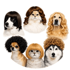 6-Piece Funny Pet Wig Set for Dogs & Cats