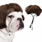 Funny Dog Wig for Cats & Dogs