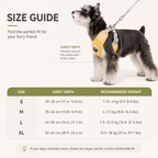Adjustable No-Pull Dog Harness Set