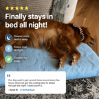 Breathable Cooling Orthopedic Dog Bed