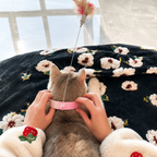 Hands-Free Collar Feather Cat Teaser