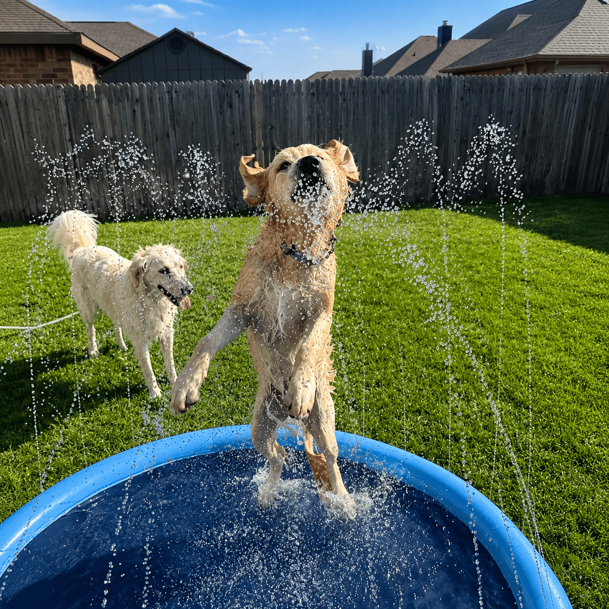 Splash Cooling Dog Splash Pad