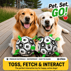 Interactive Dog Soccer Ball – Built for Active Outdoor Fun