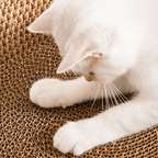 Cardboard Paradise Cat Bed for Stress-Relief, Claw Health & Furniture Safety