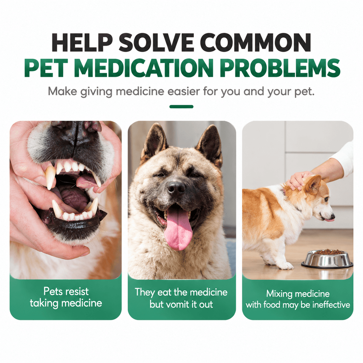 Pet Medicine Feeders for Cats & Dogs – 2-Pack Fursera