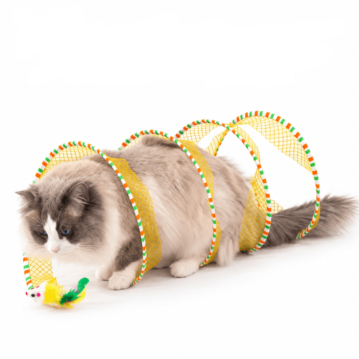 Collapsible Spiral Cat Tunnel Toy with Feathers & Bells Fursera
