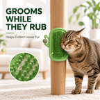 3-in-1 Cactus Cat Corner Groomer with Catnip Ball & Feather Teaser Fursera