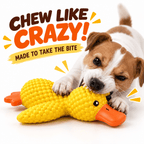 Squeaky Latex Duck Dog Toy Fursera