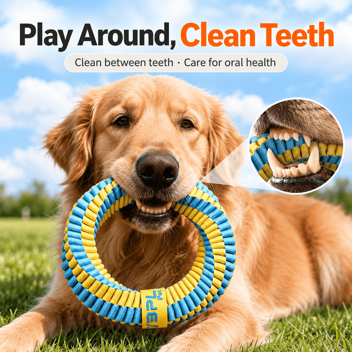 Antibacterial Braided Dog Ring Toy – Durable Chew & Tug Toy Fursera