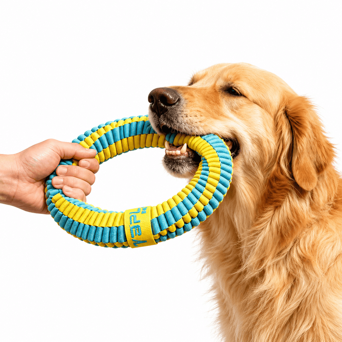 Antibacterial Braided Dog Ring Toy – Durable Chew & Tug Toy Fursera