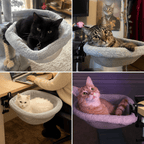 Foldable Desk Cat Bed – Clamp-On Cat Hammock Fursera