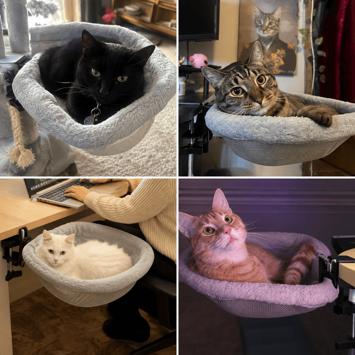 Foldable Desk Cat Bed – Clamp-On Cat Hammock Fursera