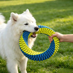 Antibacterial Braided Dog Ring Toy – Durable Chew & Tug Toy Fursera