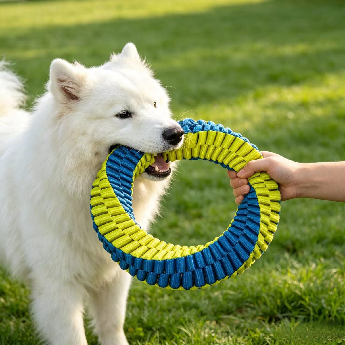 Antibacterial Braided Dog Ring Toy – Durable Chew & Tug Toy Fursera