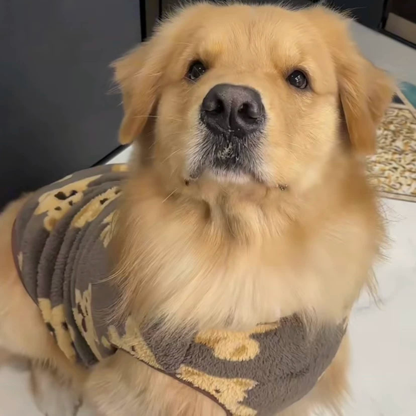 Teddy Bear Fleece Dog Vest – Soft & Cozy Pullover Fursera