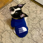 Pet Sweatshirt – Cozy Hoodie for Small & Medium Dogs