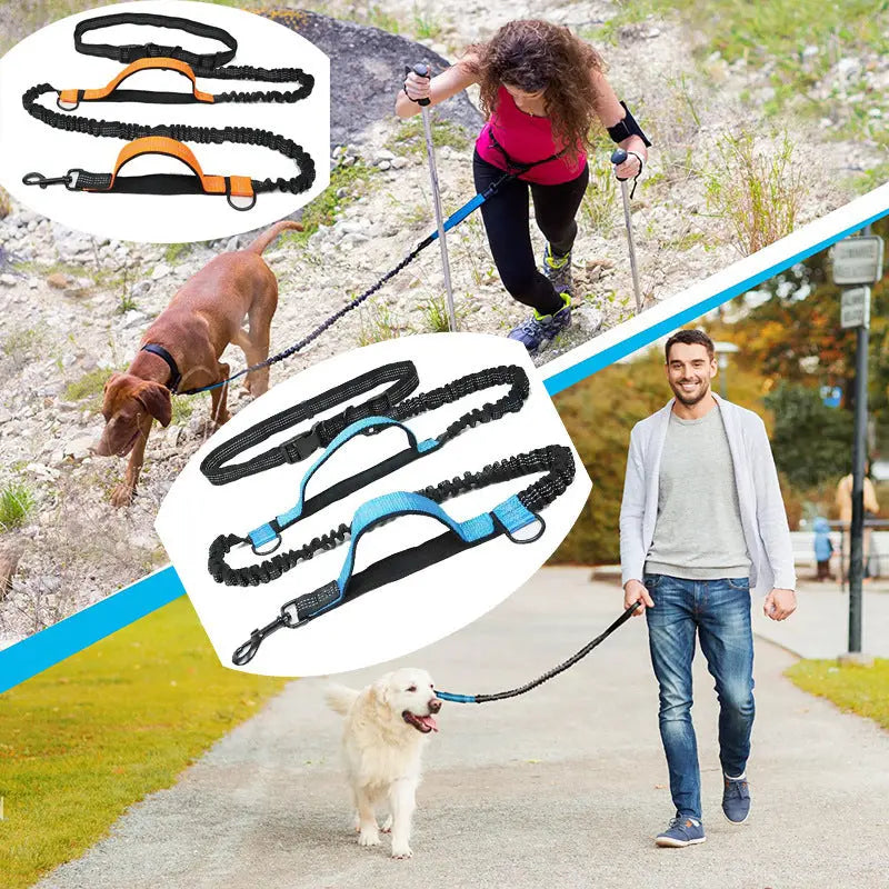 Pet Retractable Belt Leash