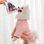 Crinkle Newspaper Dog Toy