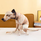 Funny Pooping Dog Plush Pillow – Realistic Novelty Dog Toy Fursera