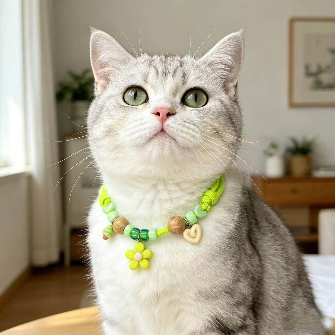 Natural Wood Insect-Repellent Pet Collar Fursera