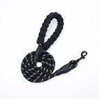 Reflective Nylon Dog Leash with Soft Padded Handle