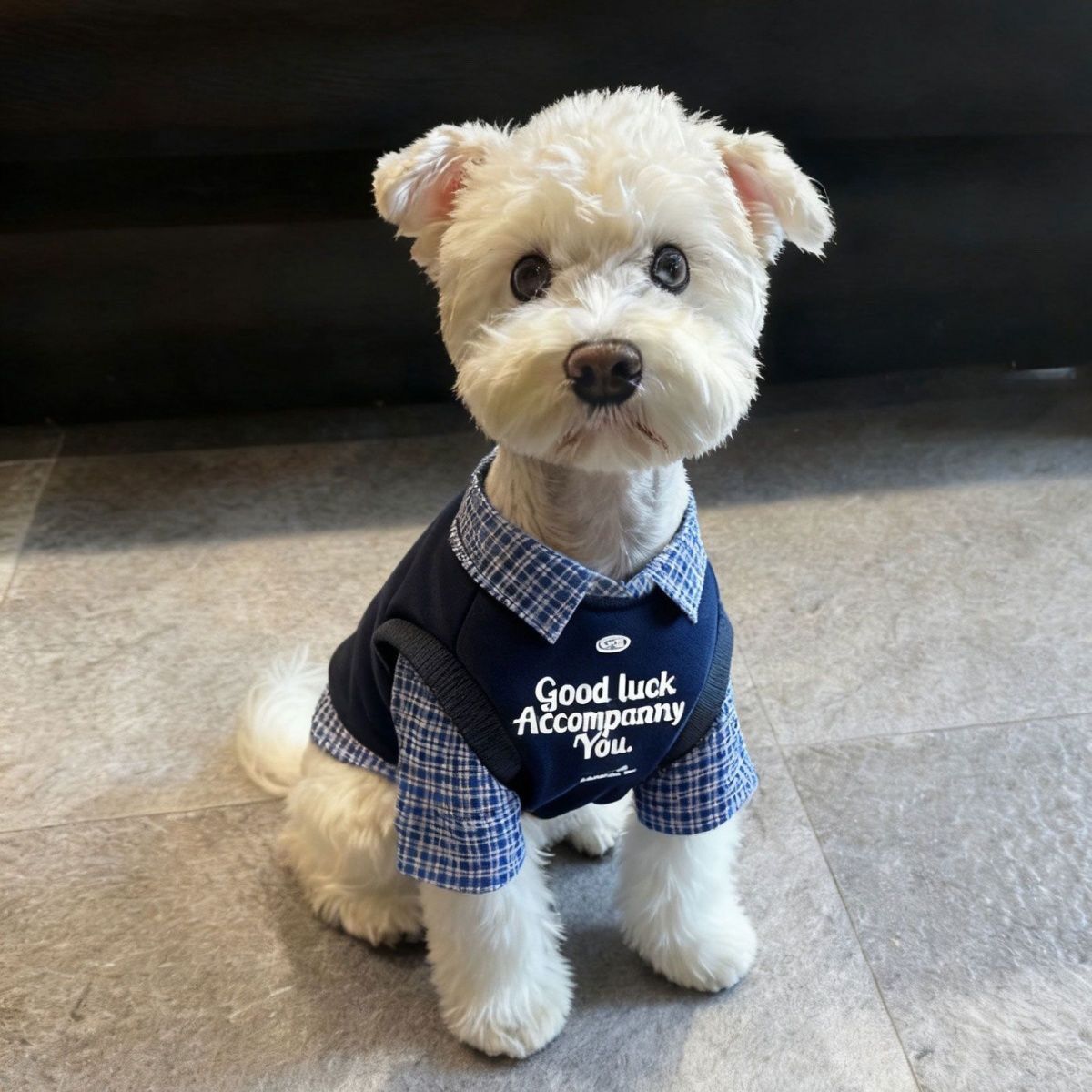 Plaid Collar Pet Vest – Classic Preppy Shirt for Cats & Dogs Fursera