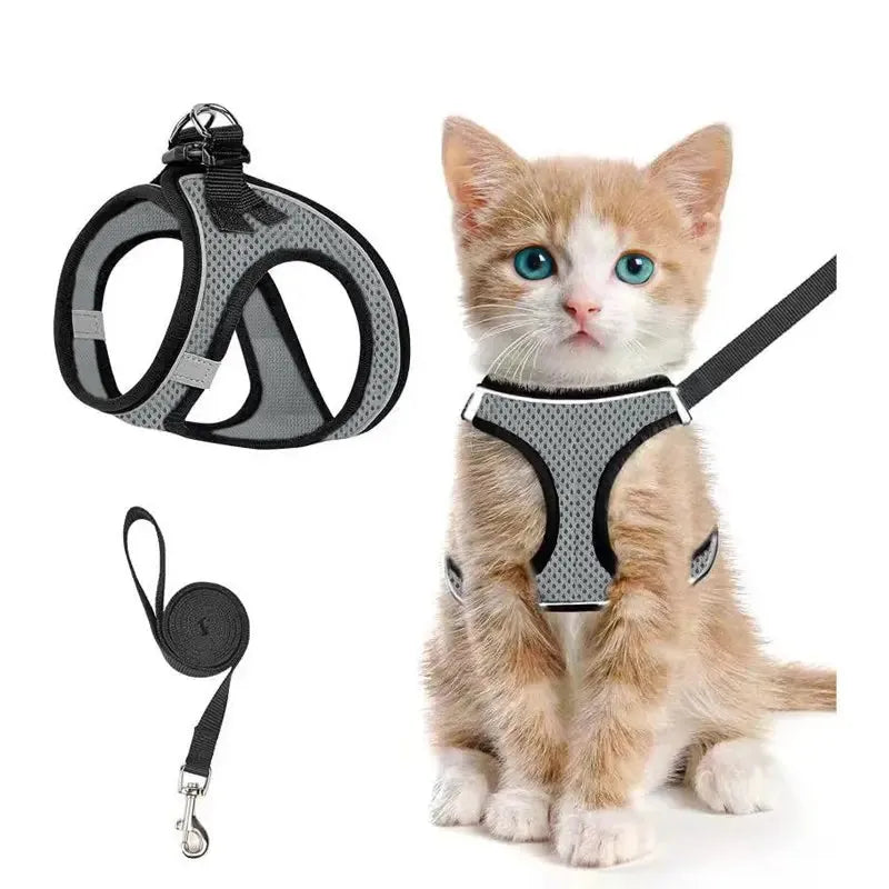 Breathable Adjustable Pet Harness & Leash Set