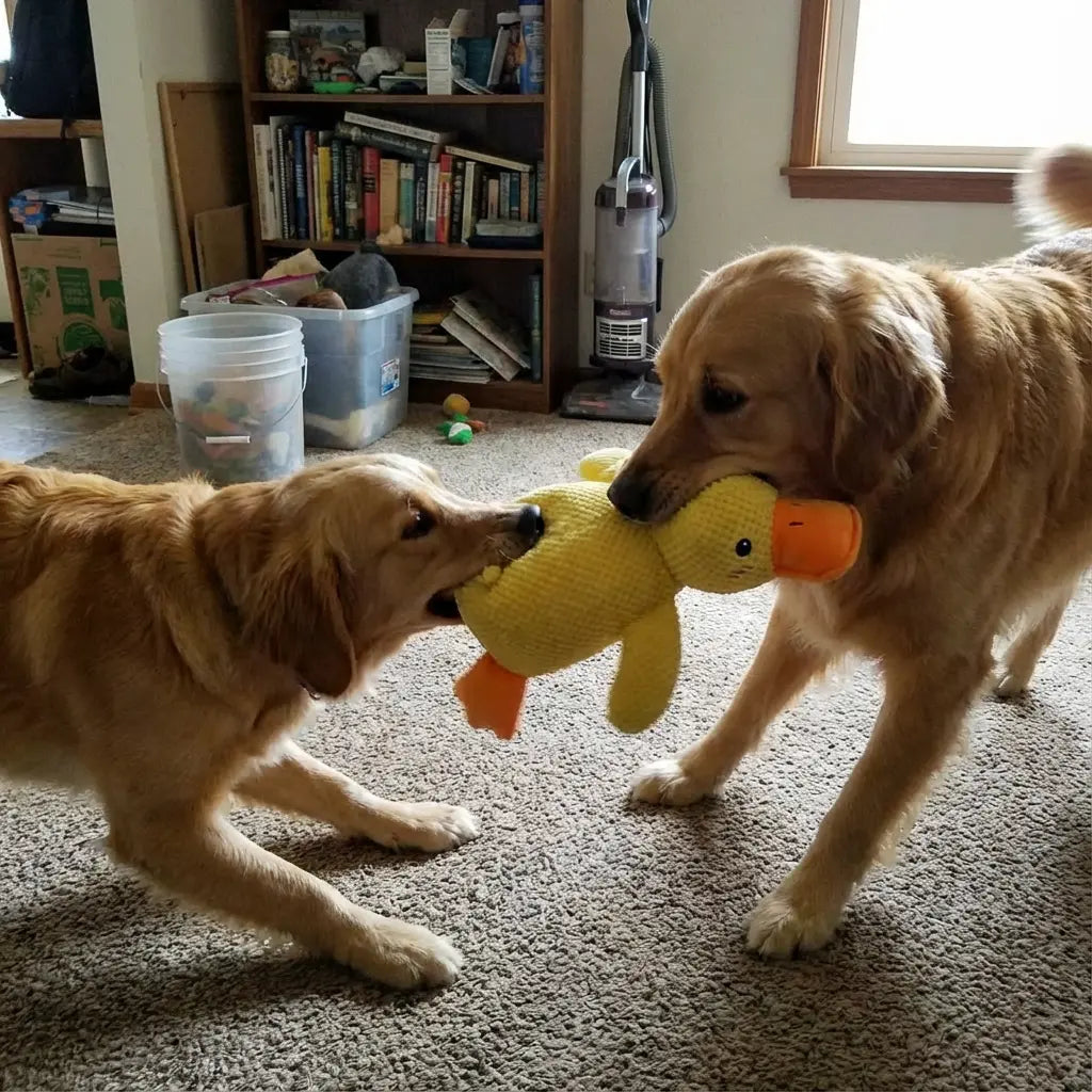 Calming Duck Toy