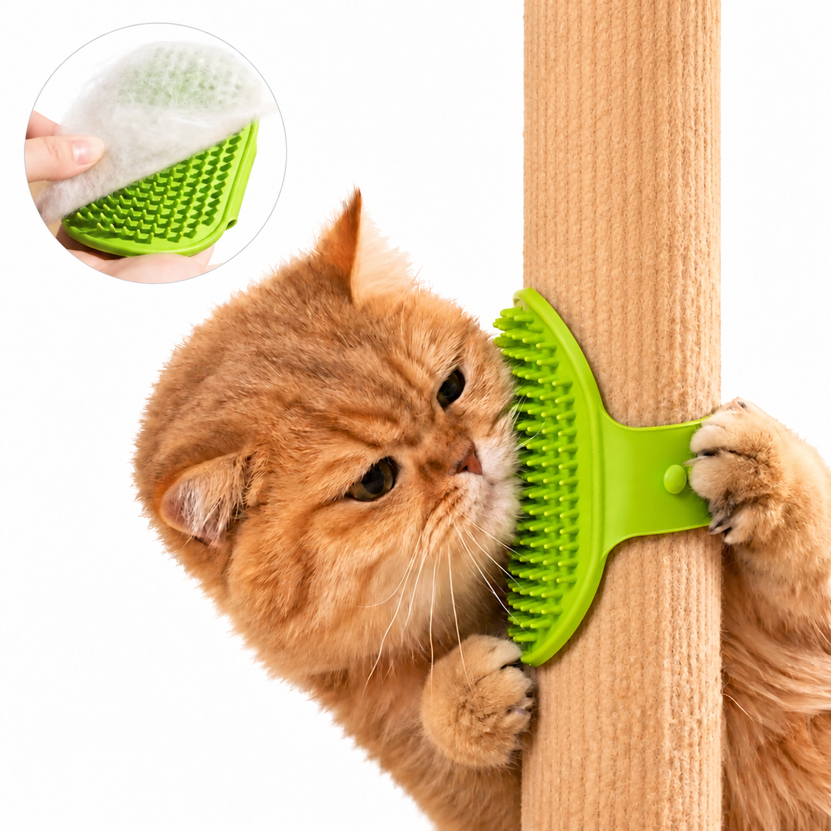Wraparound Cat Self-Grooming Brush – Furniture-Leg & Handheld Groomer Fursera