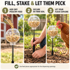 Spring-Mounted Chicken Pecking Toy & Treat Dispenser – Clear Refillable Feeder Fursera