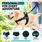 Personalized Dog Harness with Name Patch – Free Matching Color Leash Fursera