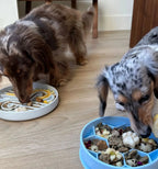 Slow Feeder Dog Bowl – Anti-Choke Feeding Bowl
