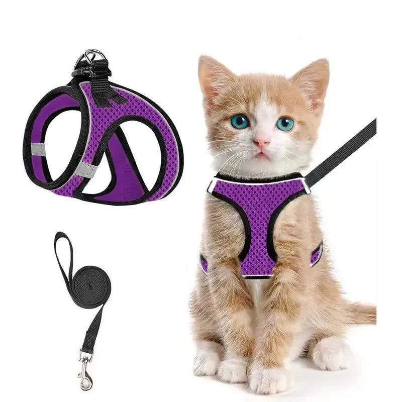 Breathable Adjustable Pet Harness & Leash Set