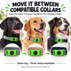 Green Collar-Mounted Pet Tag with Flexible Dual-Slot Holder & Adjustable Collar Fursera