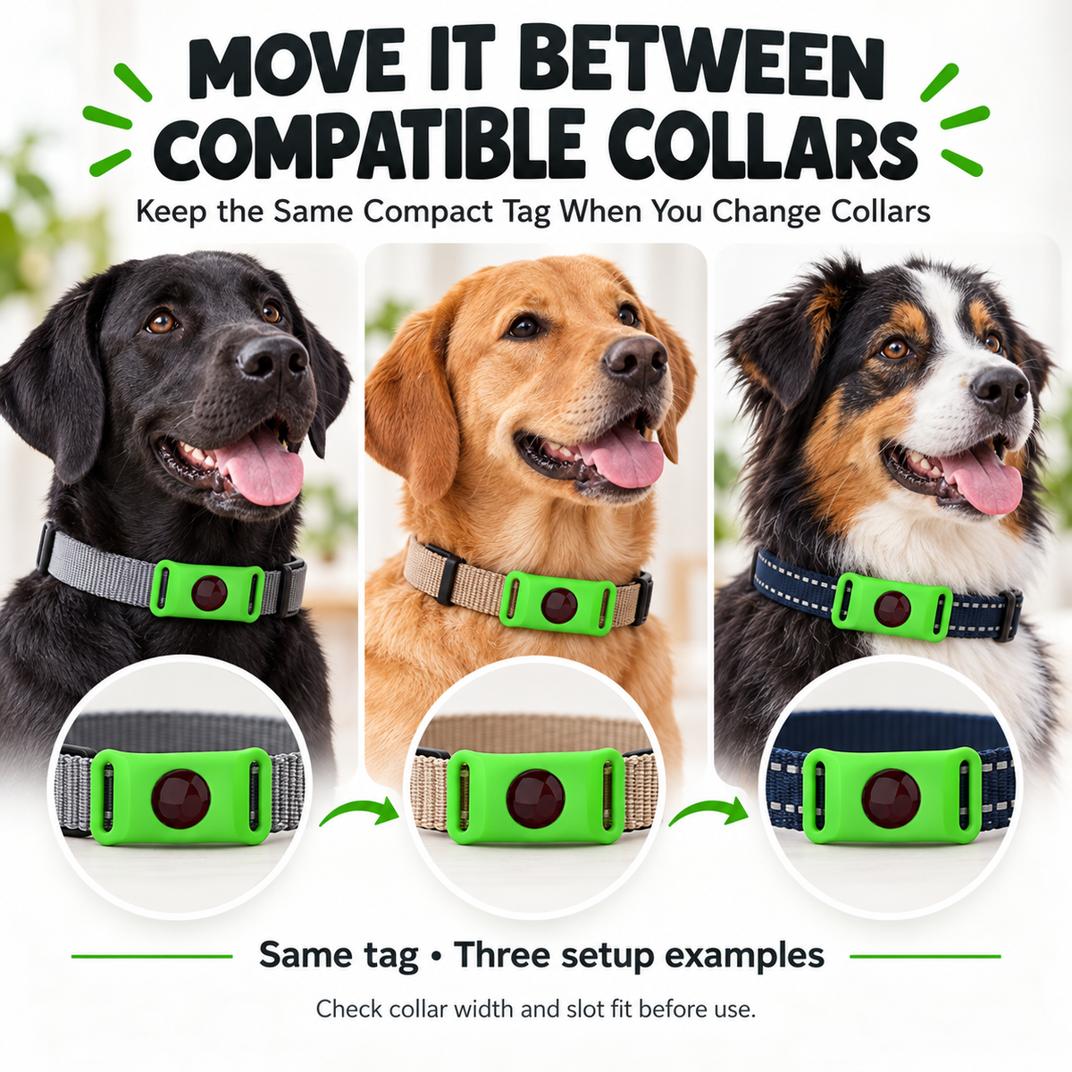 Green Collar-Mounted Pet Tag with Flexible Dual-Slot Holder & Adjustable Collar Fursera