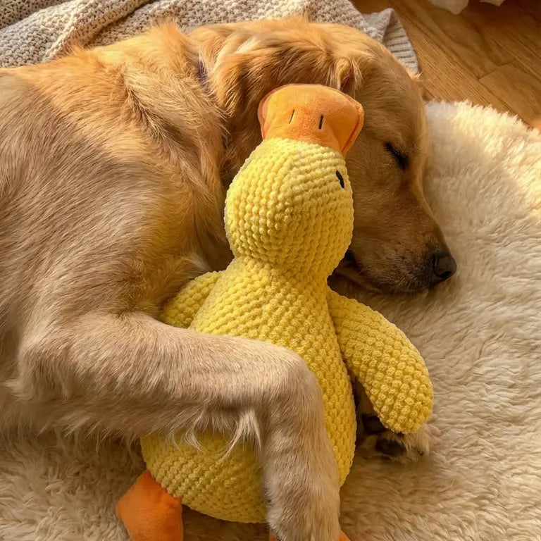 Calming Duck Toy