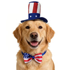 Patriotic USA Pet Hat & Bow Tie Set