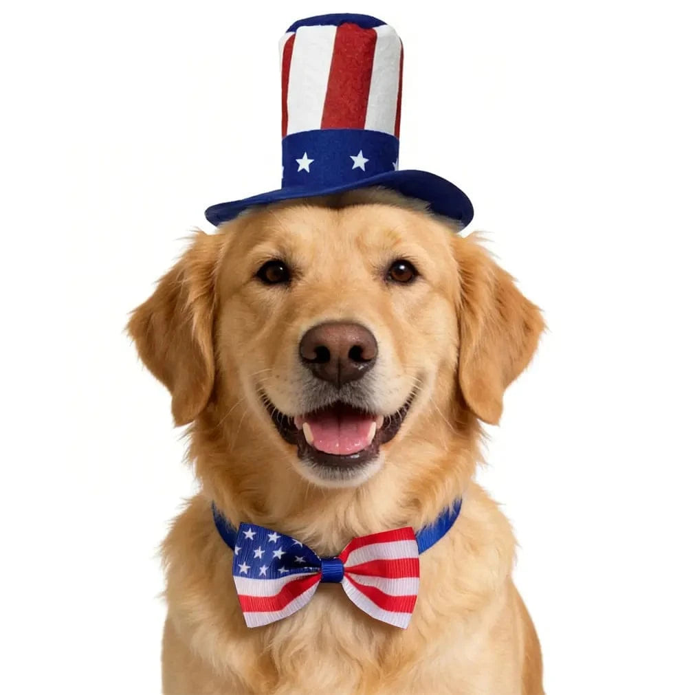 Patriotic USA Pet Hat & Bow Tie Set