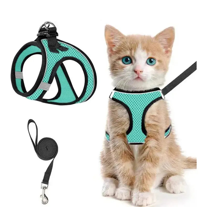 Breathable Adjustable Pet Harness & Leash Set