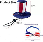 Patriotic USA Pet Hat & Bow Tie Set