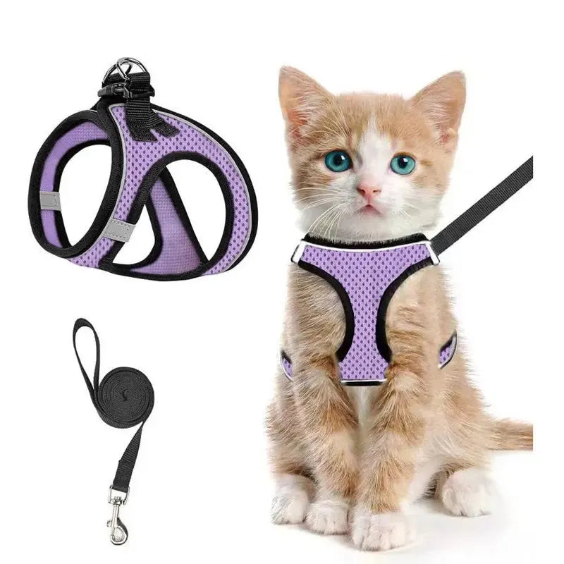 Breathable Adjustable Pet Harness & Leash Set