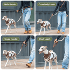 4-in-1 Hands-Free Dog Leash – Adjustable Bungee Lead Fursera