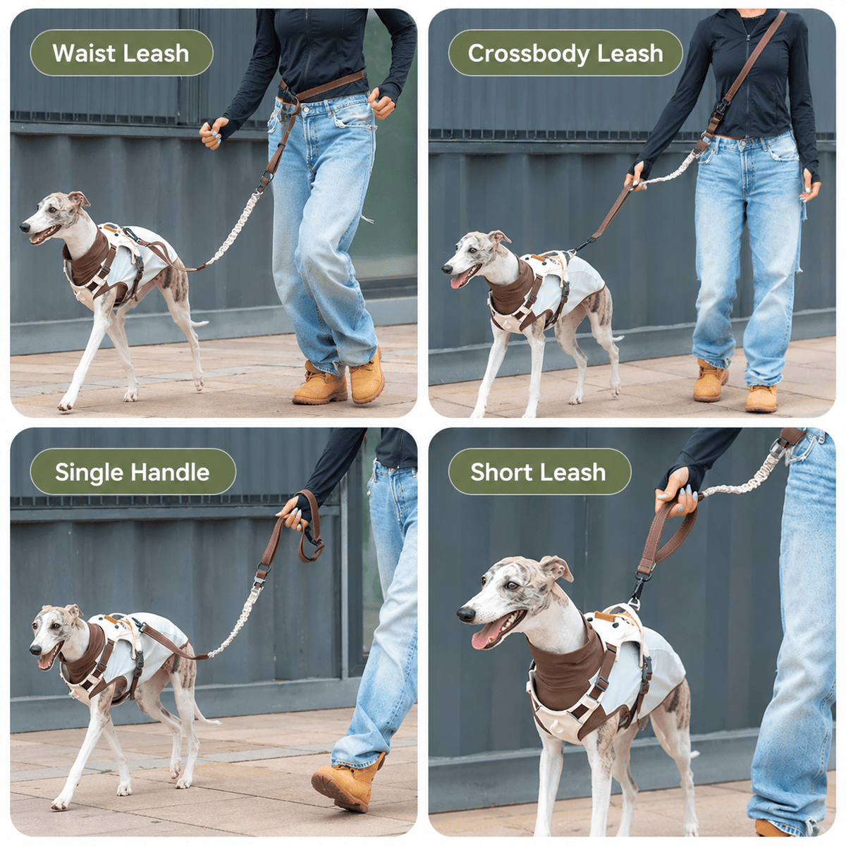 4-in-1 Hands-Free Dog Leash – Adjustable Bungee Lead Fursera