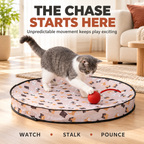 Interactive Cat Play Mat with Moving Ball & Tail – Hide & Seek Cat Toy Fursera