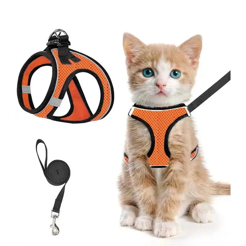 Breathable Adjustable Pet Harness & Leash Set