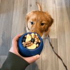 Frozen Fillable Dog Chew Toy Fursera
