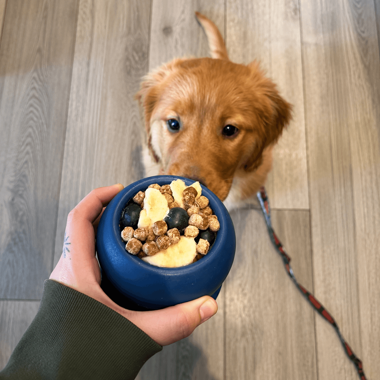 Frozen Fillable Dog Chew Toy Fursera